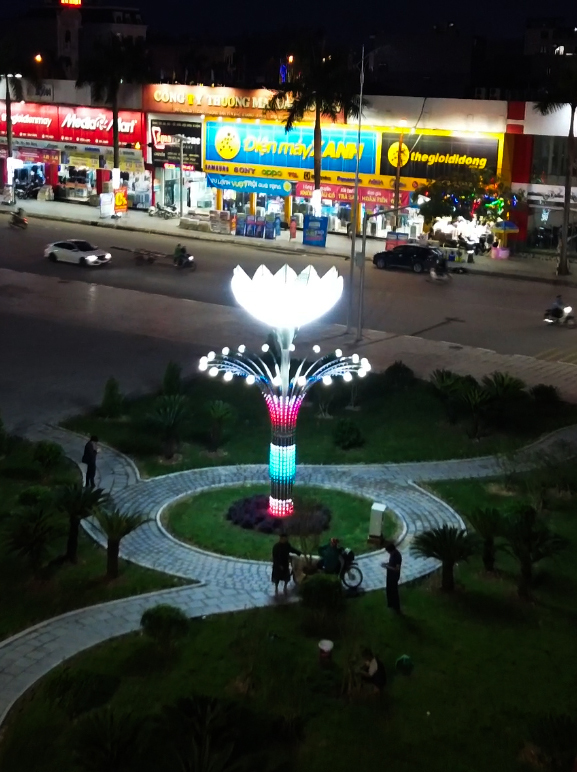 cay anh sang9