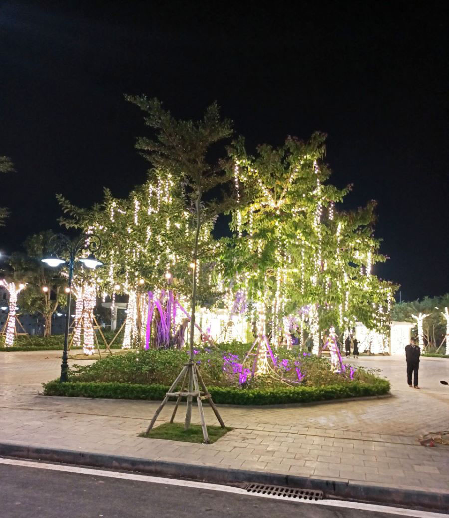 Đèn Led dây trang trí cây đường phố